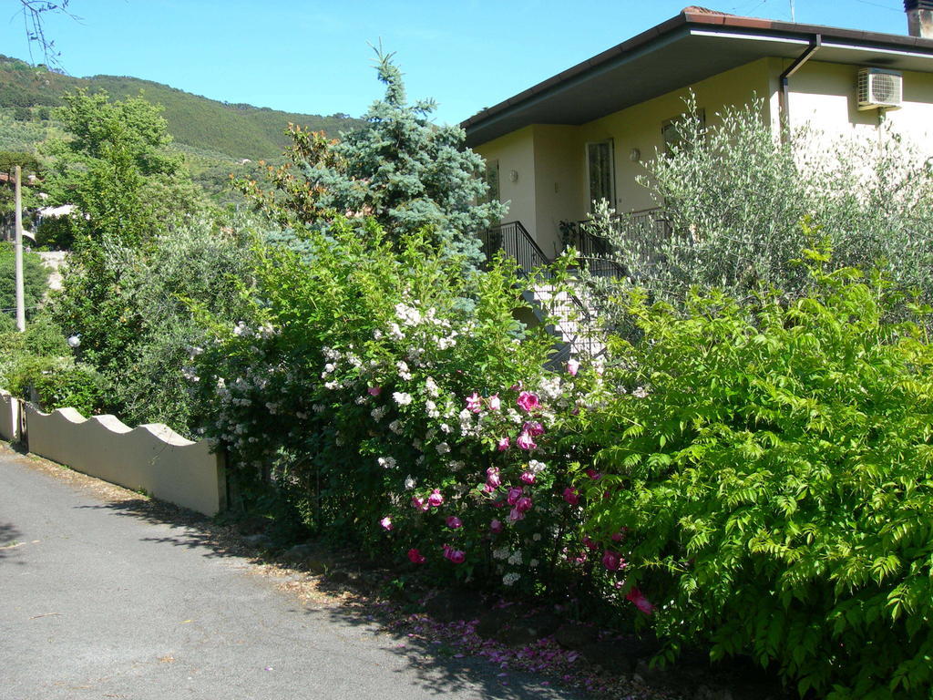Villa Gli Olivi à Calci Chambre photo