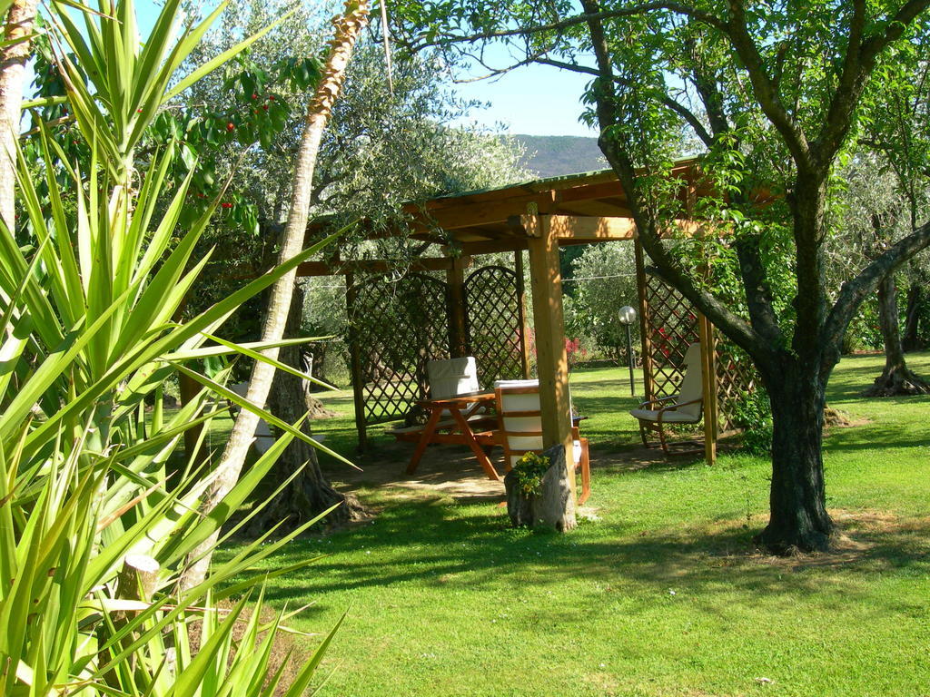Villa Gli Olivi à Calci Extérieur photo