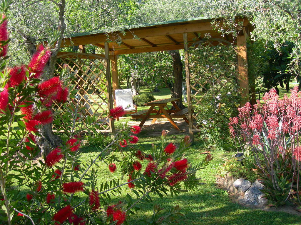 Villa Gli Olivi à Calci Chambre photo